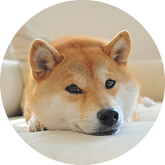 だいふく♂